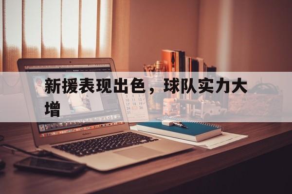 新援表现出色，球队实力大增的简单介绍